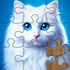 夜猫视频播放器